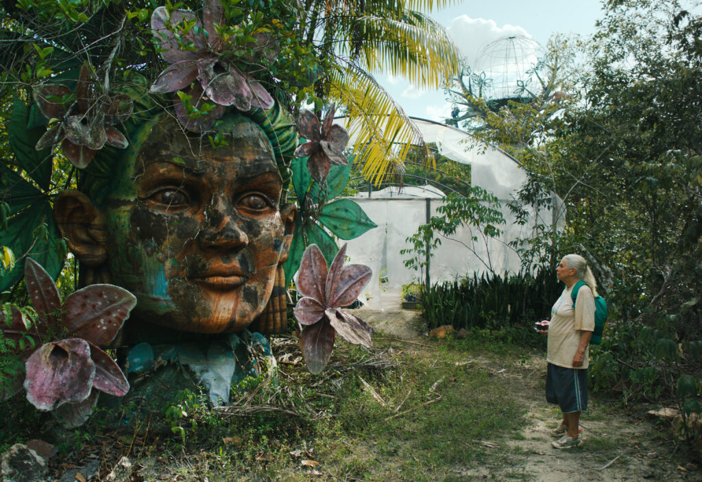 THE BLUE TRAIL Still 1©Guillermo Garza Desvia